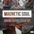 Magnetic Soul