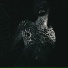 Ulcerate