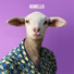Agnello