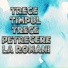 Petrecere la Romani