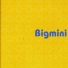 Bigmini