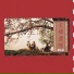 羅大佑 feat. 齊豫
