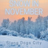 Slang Dogs City