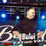 Bulut