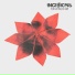 INCISIONS