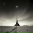 Robyn Miller