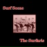 The Surfaris