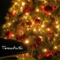 Tematic16