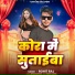 Rohit Raj
