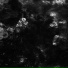Slowsignal