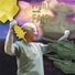 Curly Joe
