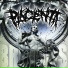 Placenta
