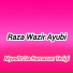 Raza Wazir Ayubi