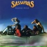 Sassafras
