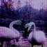 2003