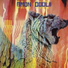Amon Düül II