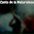 Musica para ambientar la casa