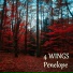 5. Wings - Penelope (Radio Edit)