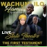 Wachumlilo Family's Spirit of Fire feat. Ndumiso