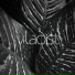 Vladist