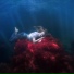 А в голове море