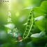 东方寒淋