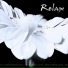 Rhythm of Mankind & Nature (Relax 2003)