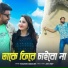 Kousik Bagchi