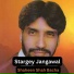 Shaheen Shah Bacha