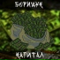 Борищук