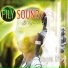 Fily Sound & Rastalib
