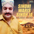 Waheed Hakro