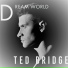Ted Bridge