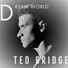 Ted Bridge