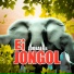 ZOOBAER
