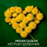 Михаил Дудник