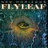 6.Flyleaf