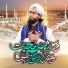 Zaheer Raza Qadri