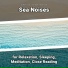 Sea Waves Sounds, Ocean Sounds, Nature Sounds