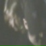 Eva van Dijk, BAERK.