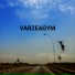 Varzeagym