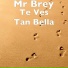 Mr Brey