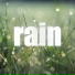 Over the Rainbow