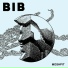 Bib