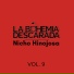 La Bohemia Descarada, Nicho Hinojosa