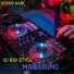 DJ Rio Style
