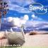 Sandy