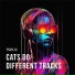 Cats do Different Tracks