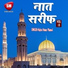 Hajrat Hunar Plamwi