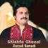 Zaryali Samadi